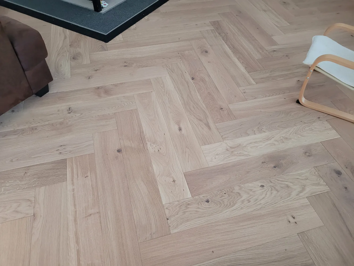 extension maison bois saint barthelemy